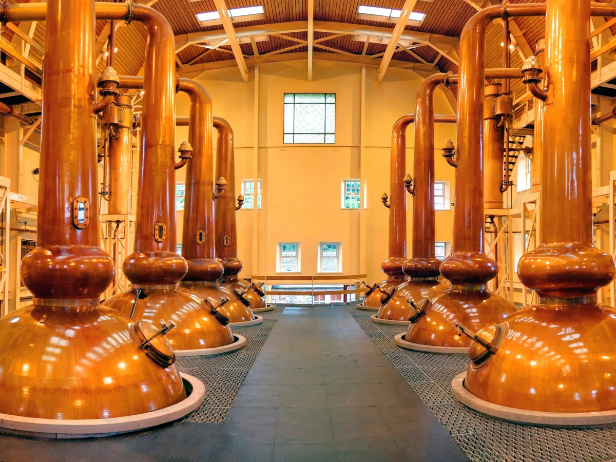 Food and beverage process plant using hygienic and certified process equipment solutions